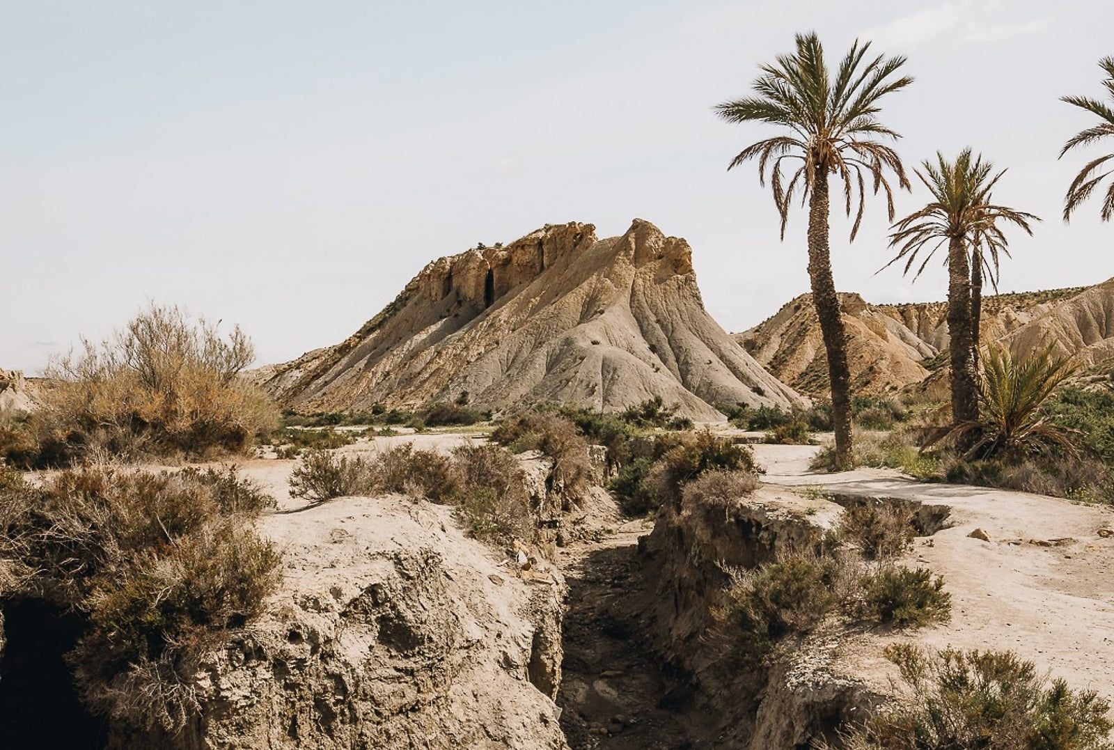 TRAVEL: FIVE DESERT ESCAPES