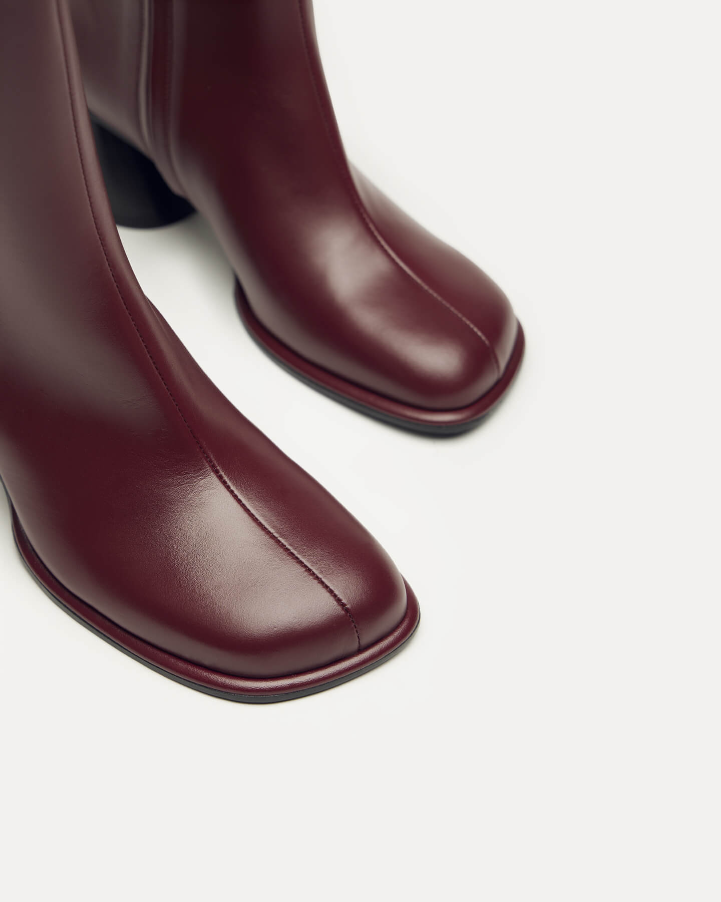 Holton Smooth Leather Heeled Boots - WANT Les Essentiels display picture 3