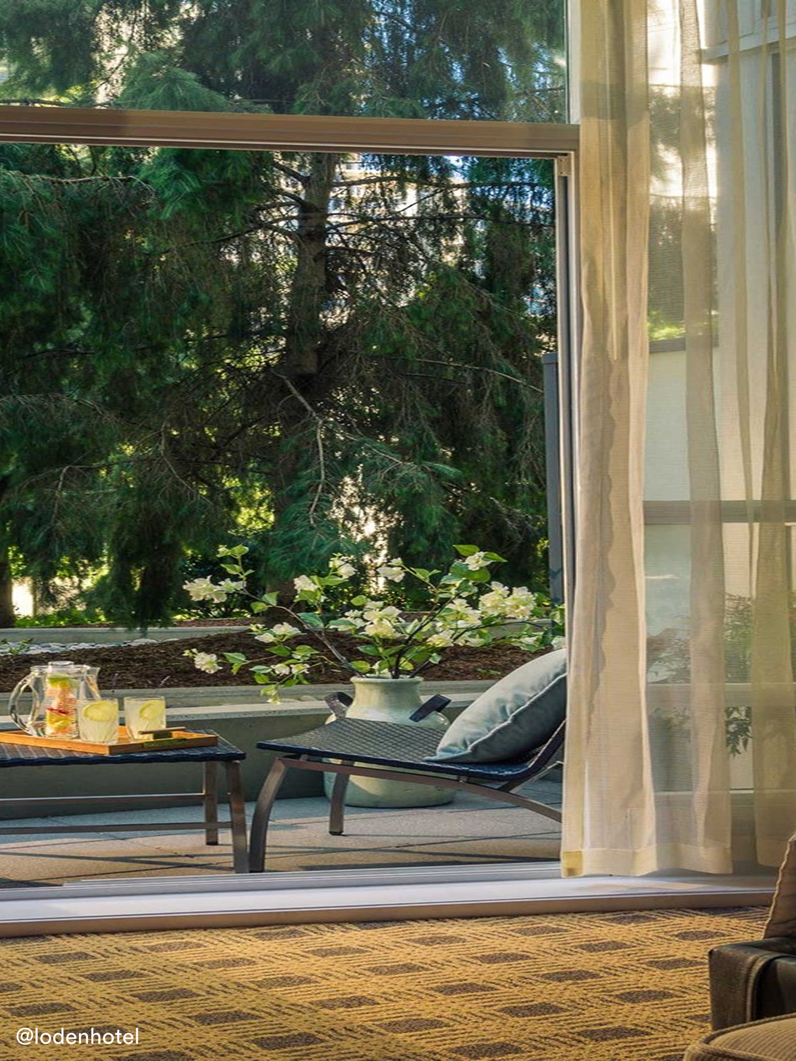 Garden view from a ground floor room of the Loden Hotel in Vancouver, BC, Canada