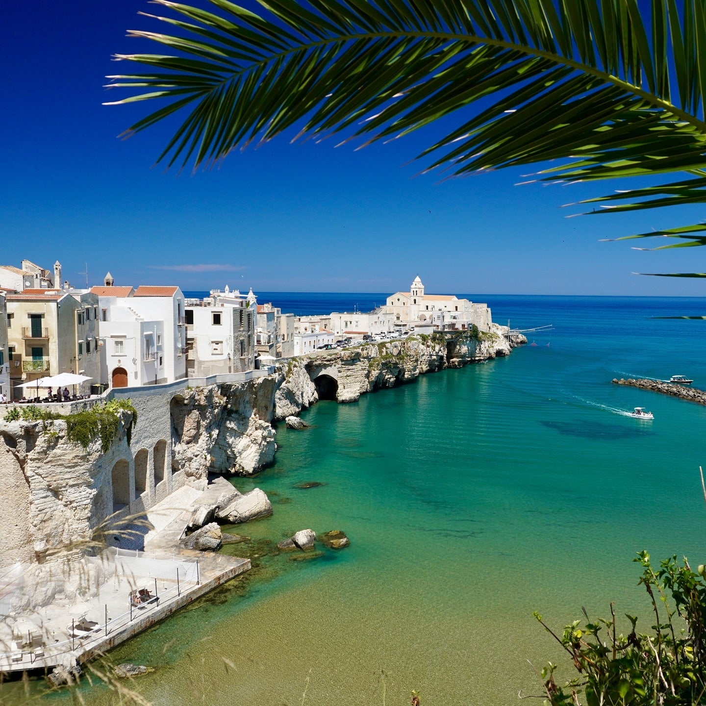 White buildings of the city of Vieste, built on cliffs above turquoise waters.