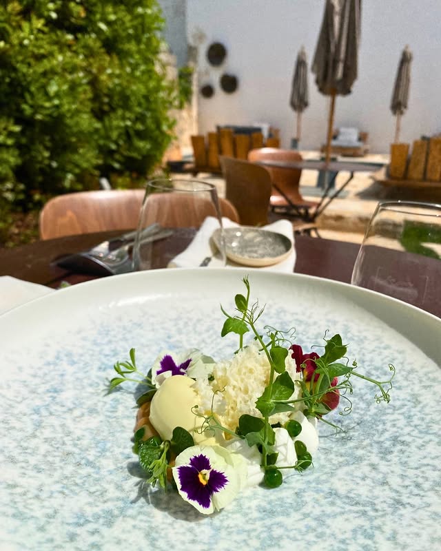 Close up of a gastronomic plate with flowers and herbs