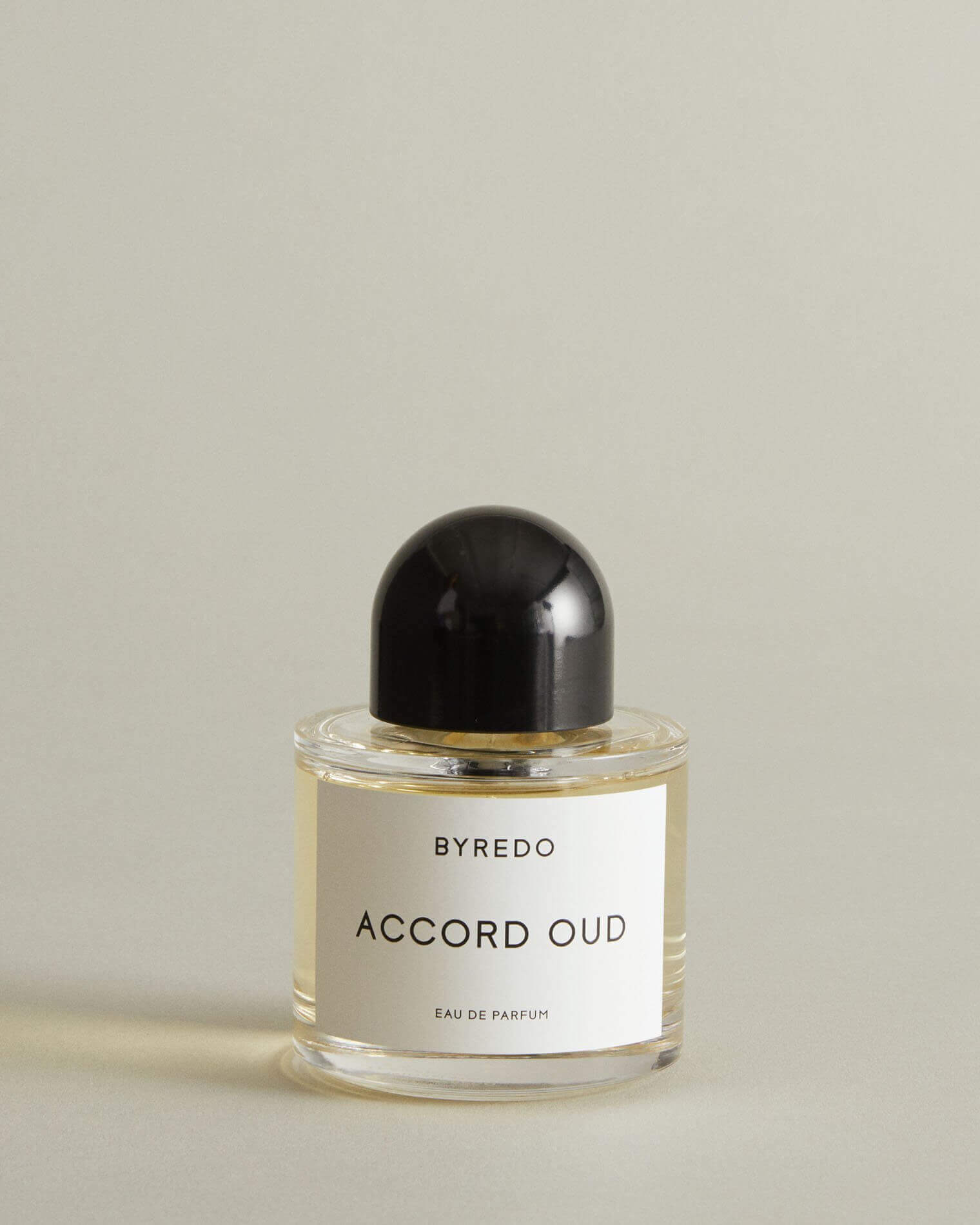 Accord Oud Eau de Parfum - 100 ml - WANT Les Essentiels
